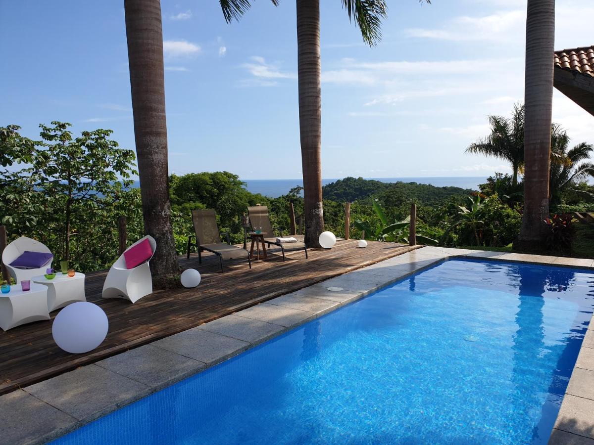 Palmetto Bed & Breakfast Playa San Miguel