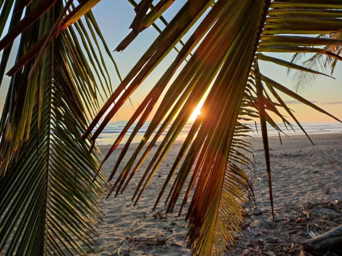 Palmetto Playa San Miguel